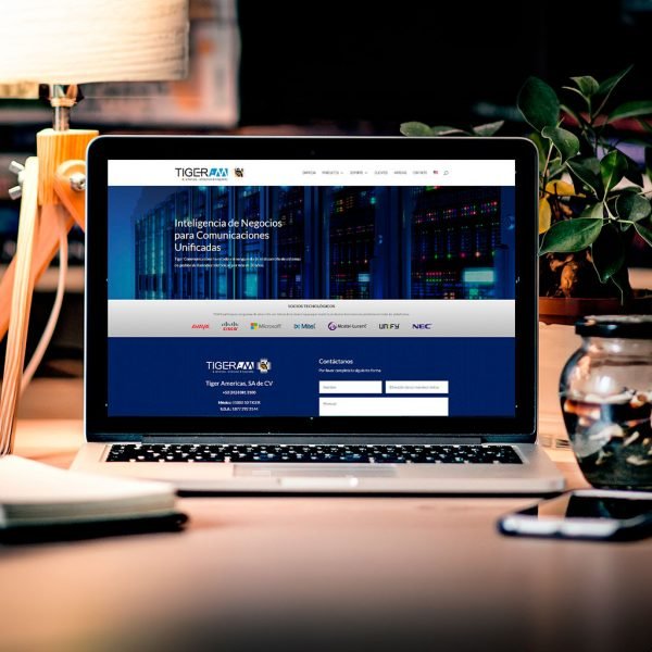 Página web Estándar